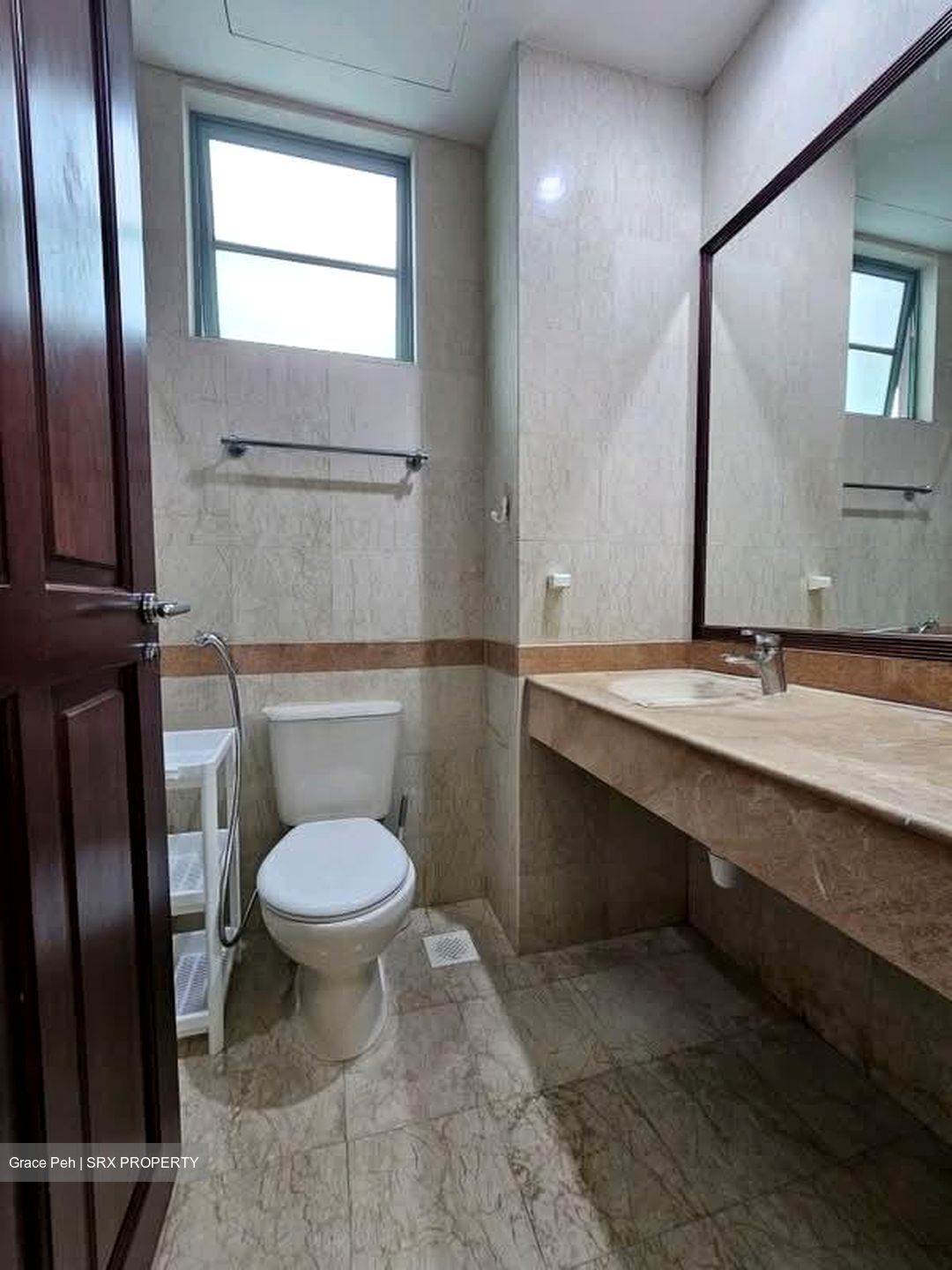 Tanglin Regency (D10), Condominium #557096421